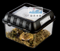 爬蟲繁殖飼養(yǎng)箱